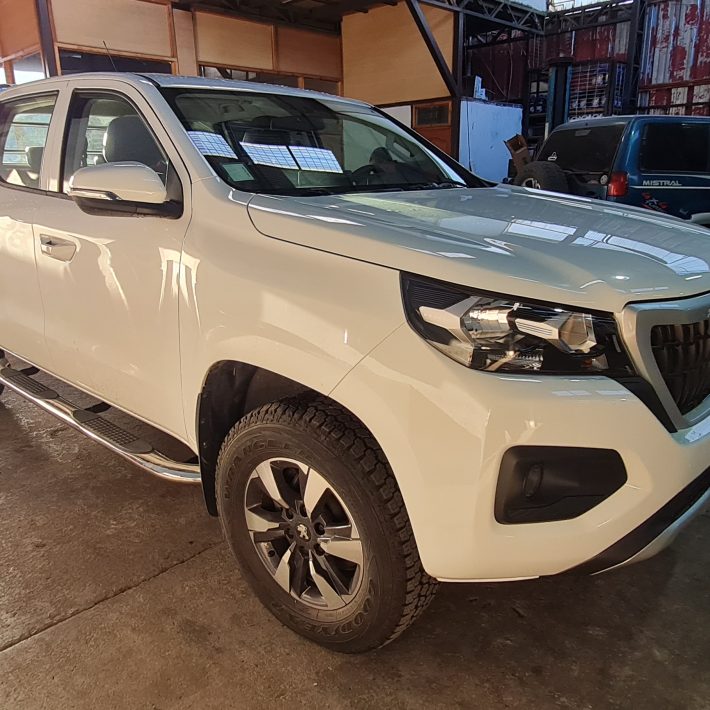 Pisadera tubular acero doble cabina